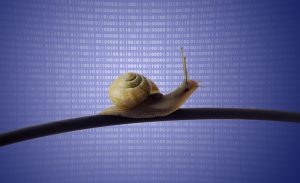 A snail on the internet cable implying slower speeds and a throttled connection