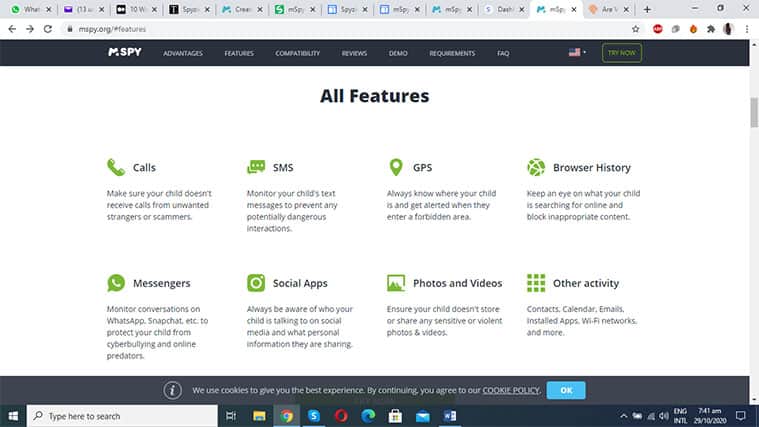 An image featuring the mSpy feature