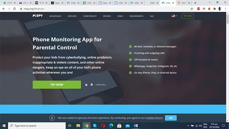 An image featuring the mSpy homepage